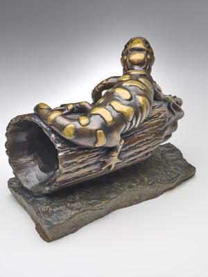 2020 - Bronze - 7"H x 9"W x 5.5"D - Edition of 10