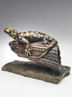 2020 - Bronze - 7"H x 9"W x 5.5"D - Edition of 10